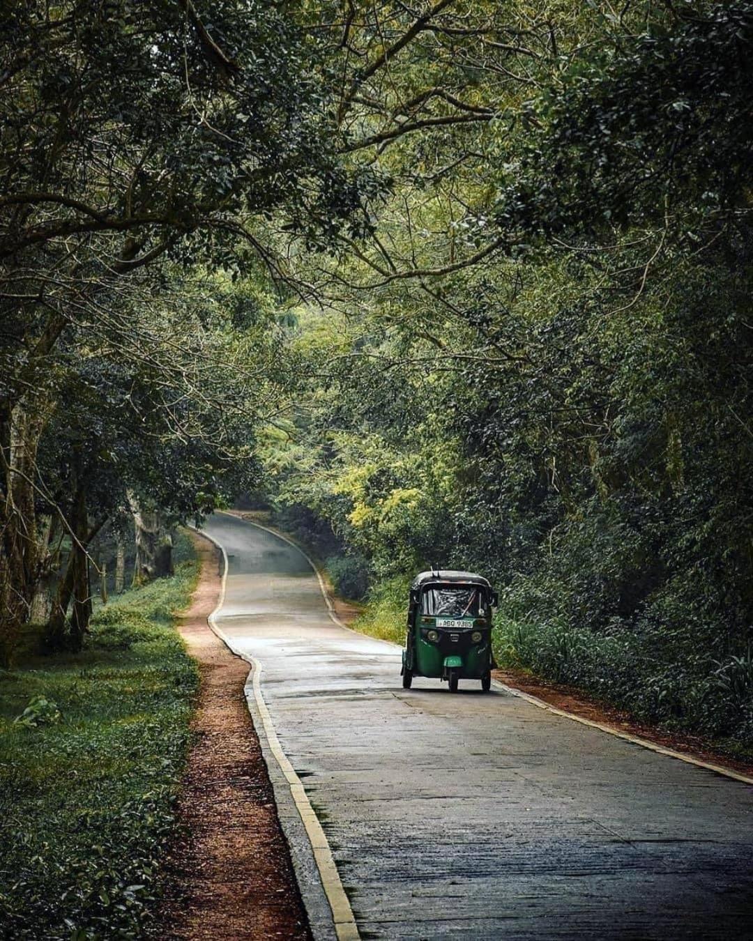 Sigiriya Village Home Stay Buitenkant foto