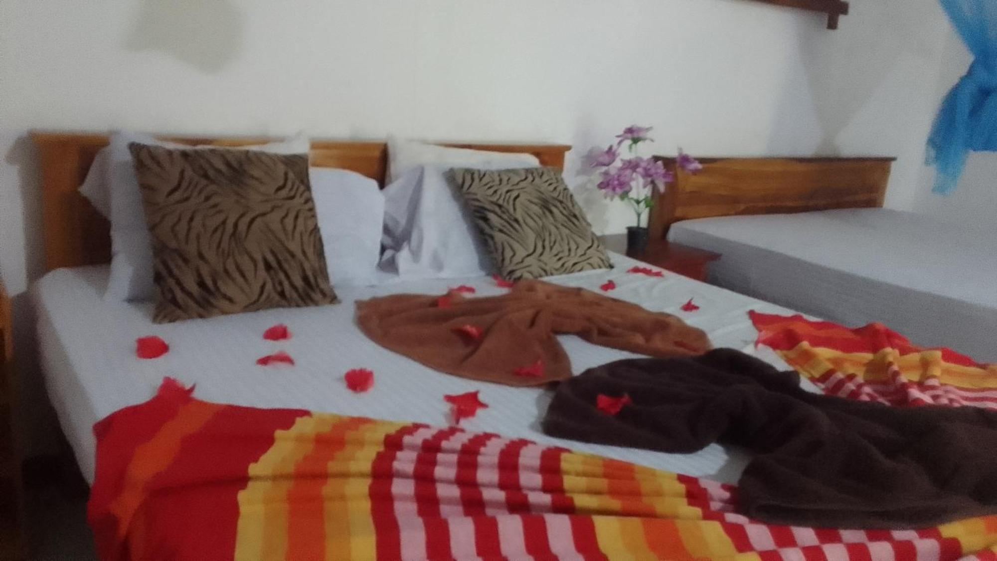 Sigiriya Village Home Stay Buitenkant foto