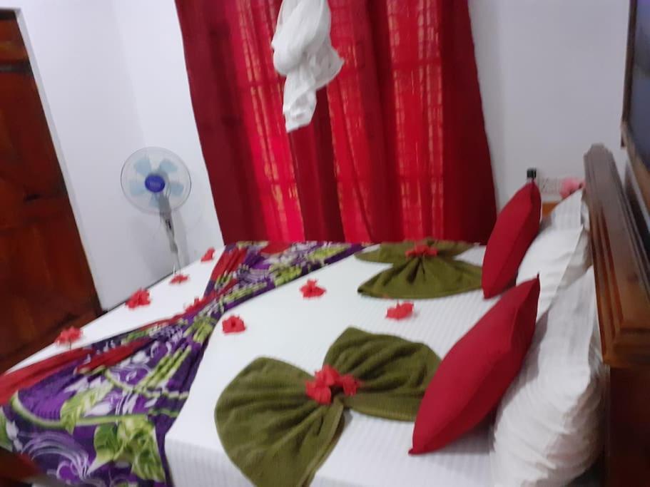 Sigiriya Village Home Stay Buitenkant foto
