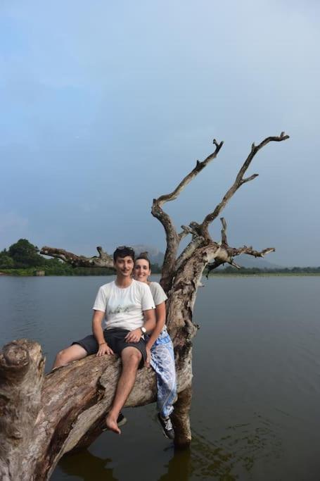 Sigiriya Village Home Stay Buitenkant foto